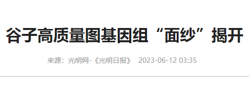 洗衣房设备设施配备一览表分享高质量谷子基因面纱